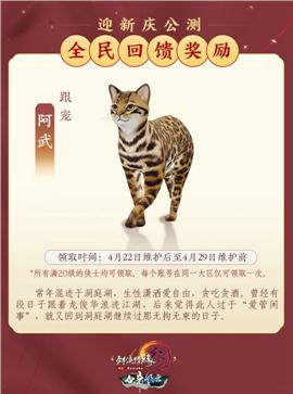 天龙八部私服大精品
